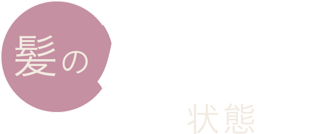 髪の厚化粧