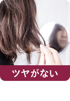 【ツヤがない】なにか付けてもすぐにパサつく