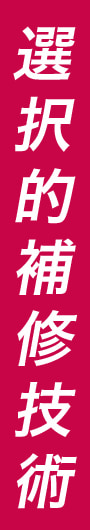 選択的補修技術