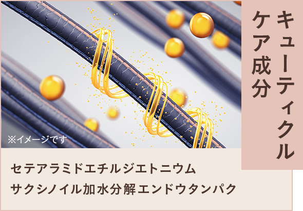 キューティクルケア成分