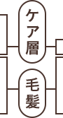 ケア層 毛髪