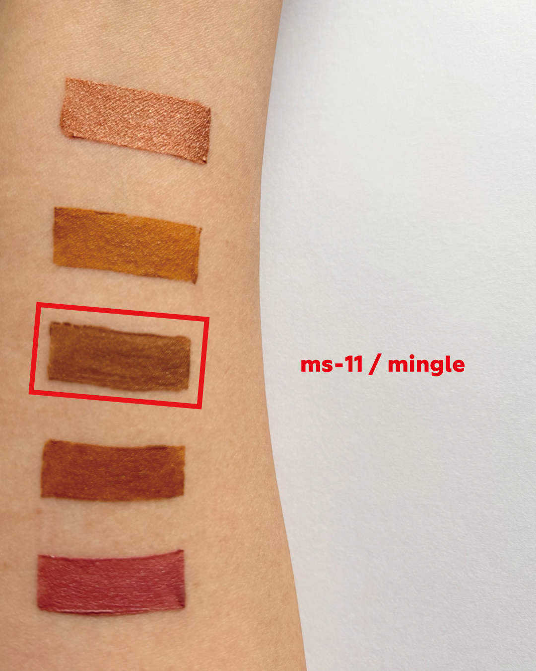 ms-11 mingle