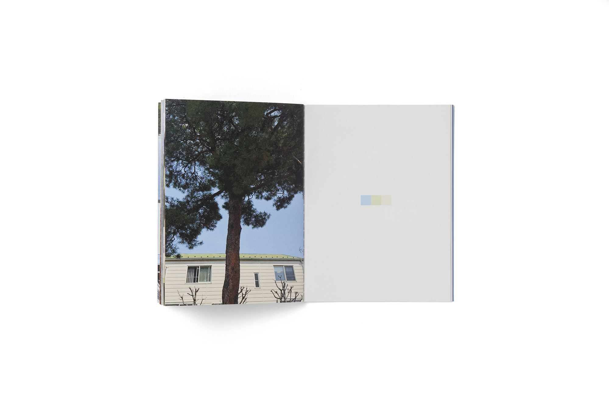 palette