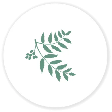 uruasオールインワンソープの強み 成分の99%が天然由来原料