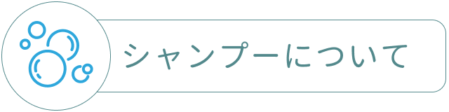 ECOCERT エコサート シャンプーについて