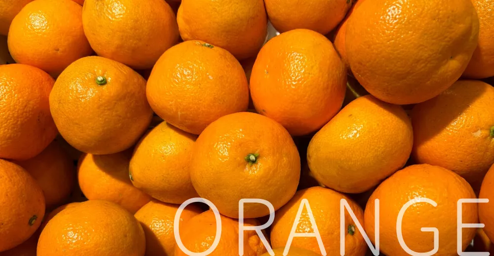 uruasオールインワンソープの香り オレンジ精油