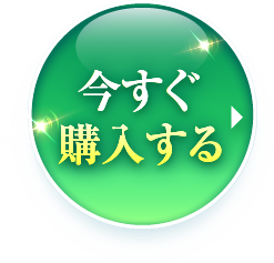 今すぐ購入する