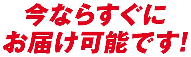 今ならすぐにお届け可能です