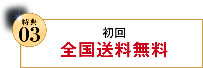全国送料無料