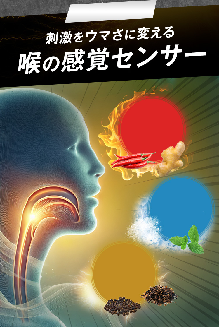 刺激をウマさに変える喉の感覚センサー