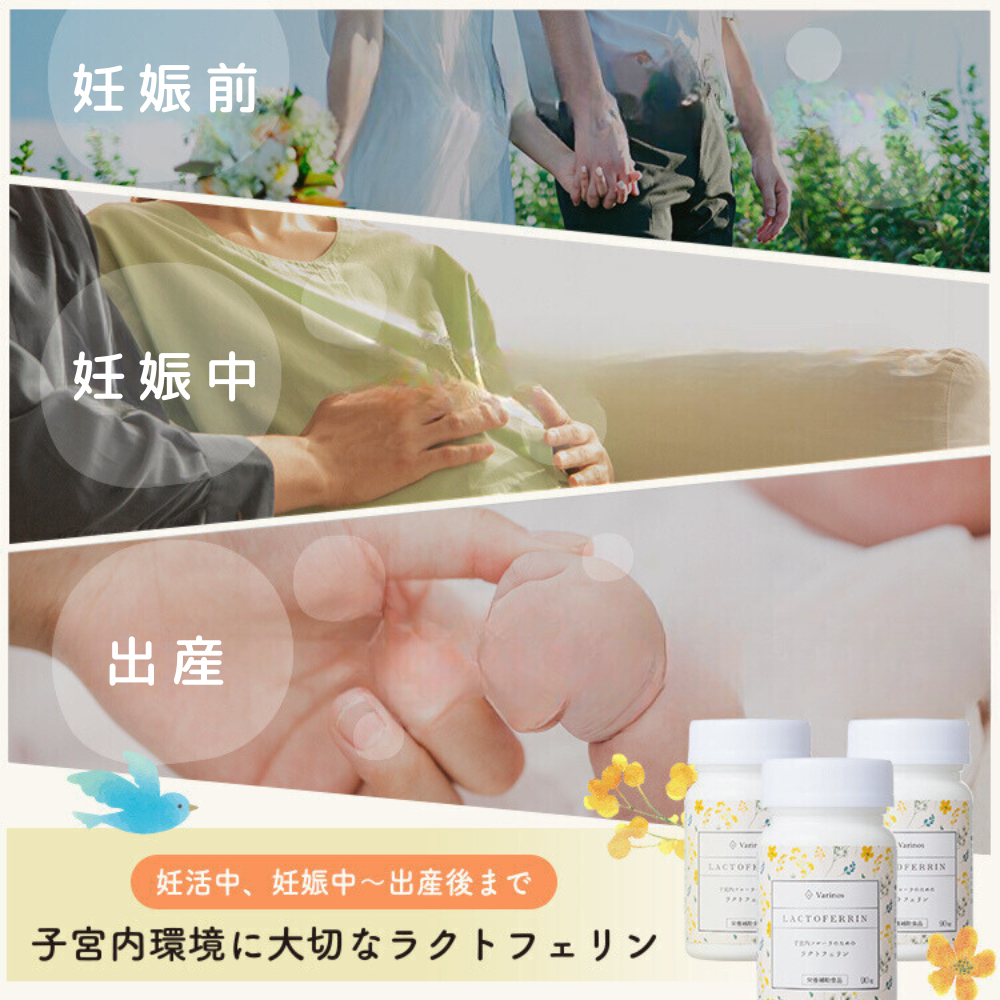 子宮内フローラのためのラクトフェリン
