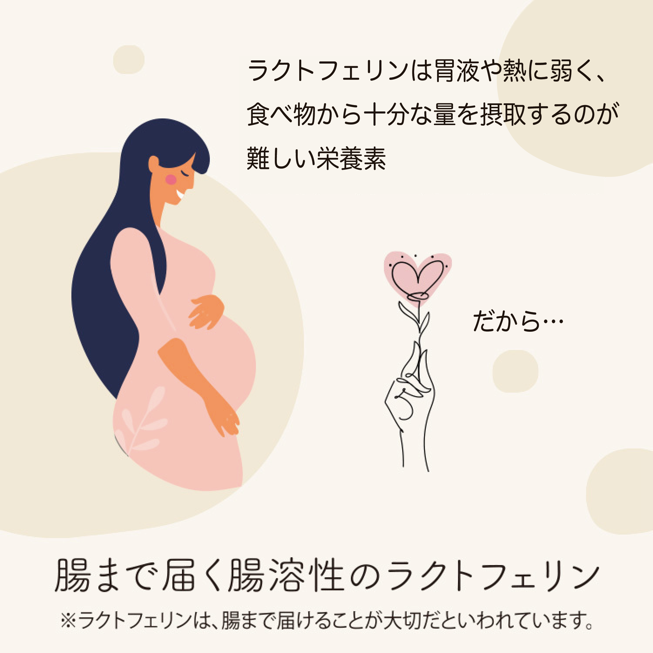 子宮内フローラのためのラクトフェリン