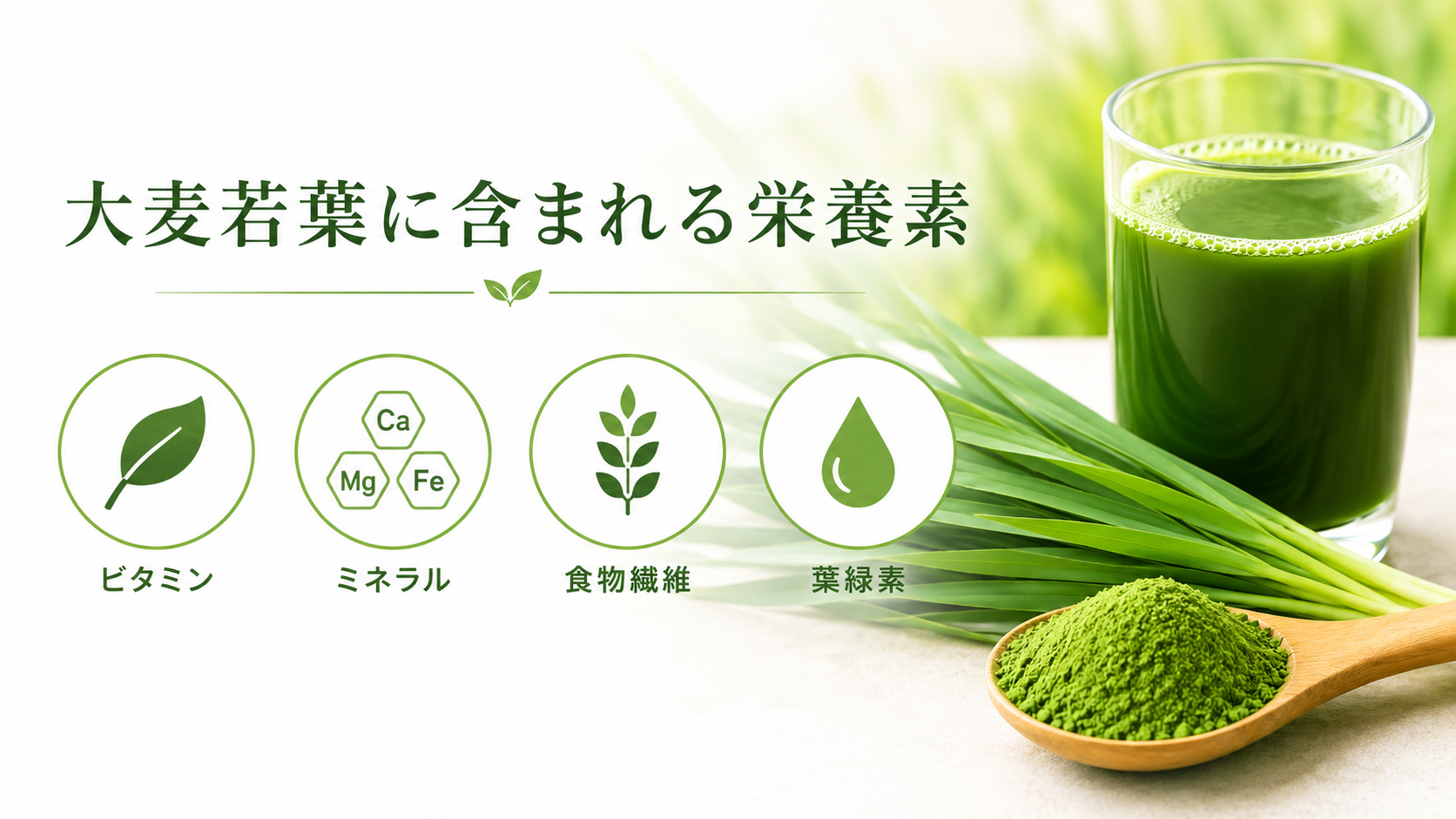栄養素
