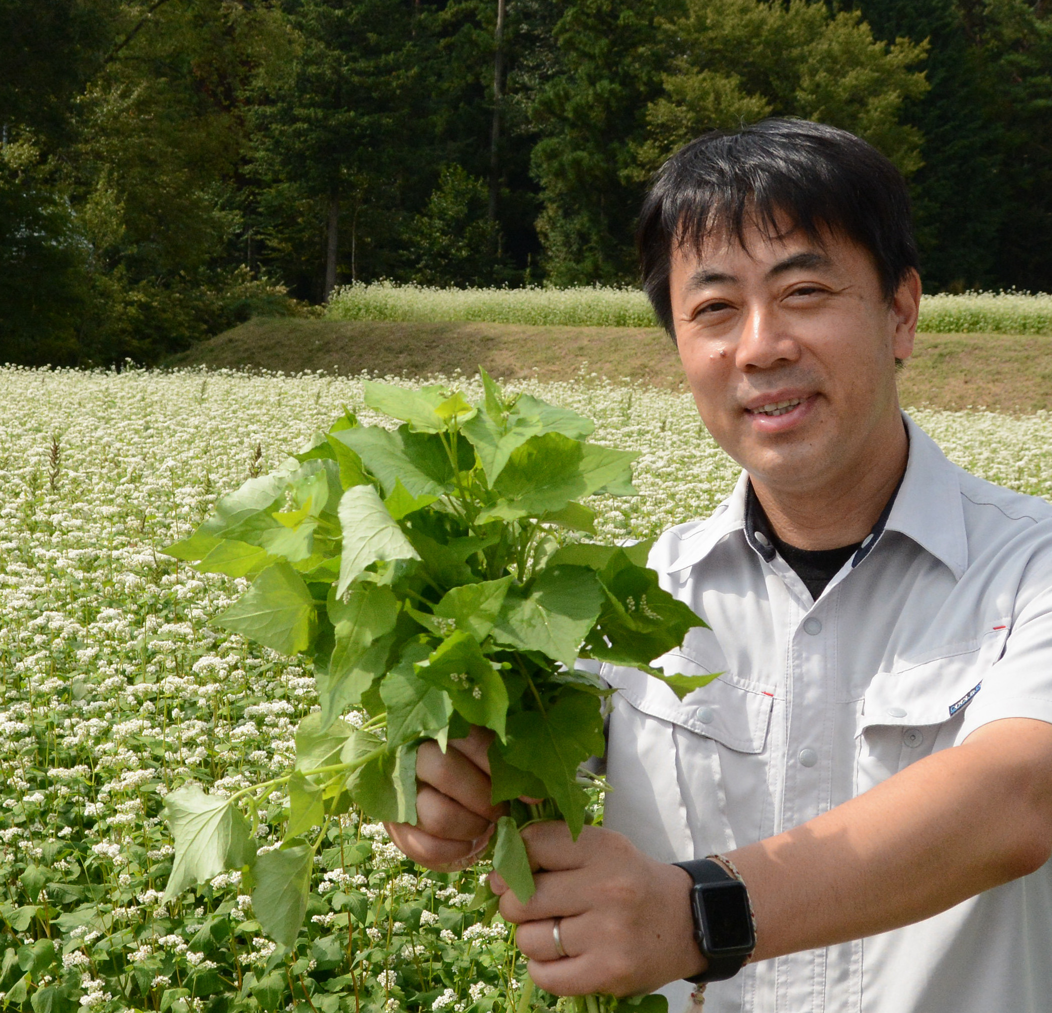 株式会社ぷらんつ 代表取締役社長 北林広巳