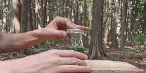理由2gif