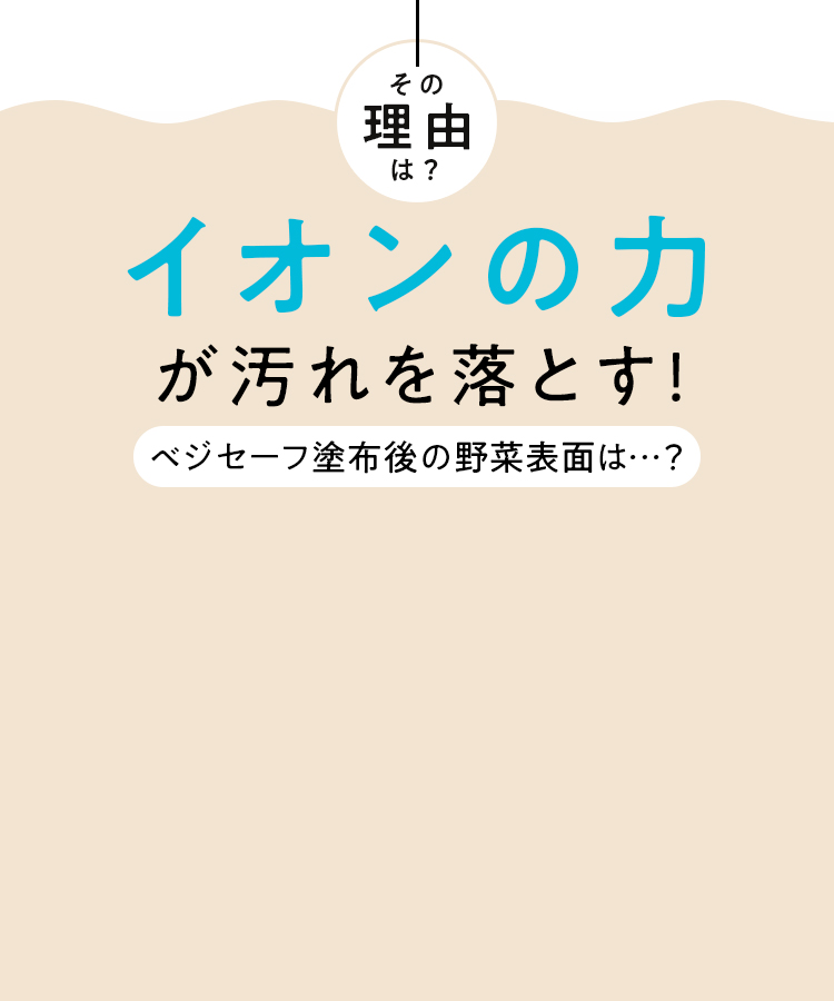 ベジセーフ塗布後の野菜表面は…？