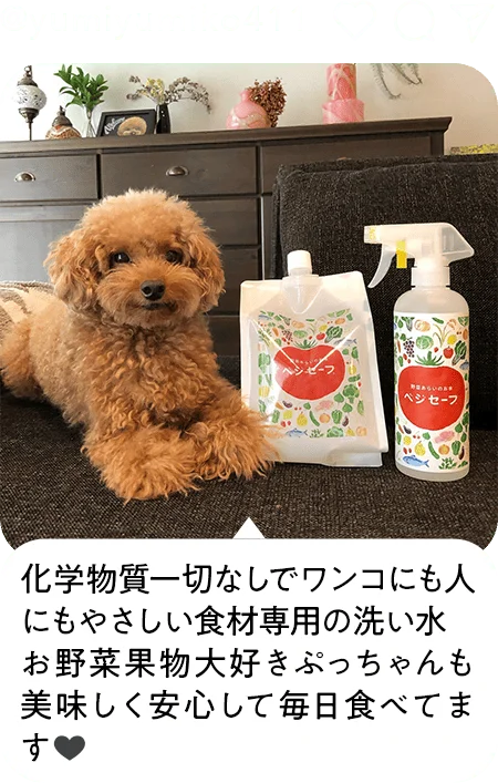 化学物質一切なしでワンコにも人にもやさしい食材専用の洗い水