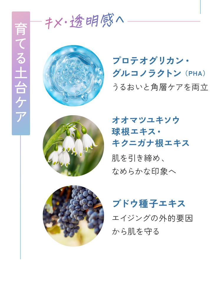 プロテオグリカン・グルコノラクトン、オオマツユキソウ球根エキス・キクニガナ根エキス、ブドウ種子エキス
