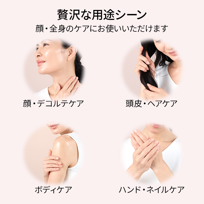 ホリデーコレクション2025