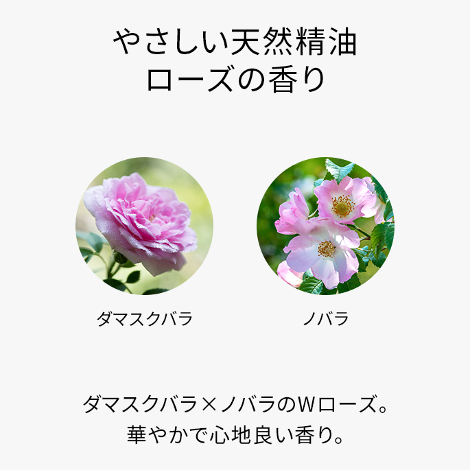  【数量限定】リペアモイストローションラージサイズ