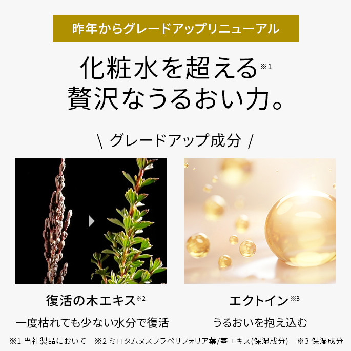  【数量限定】リペアモイストローションラージサイズ