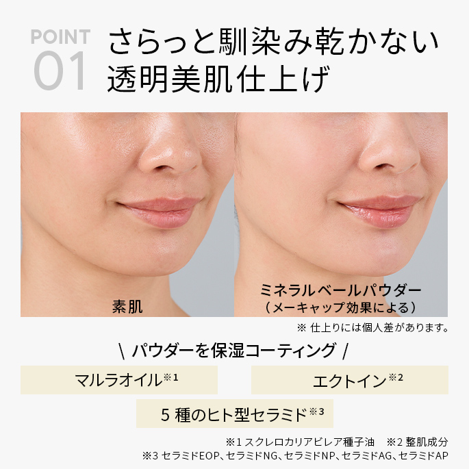 【数量限定】ミネラルベールパウダーラージサイズ13g