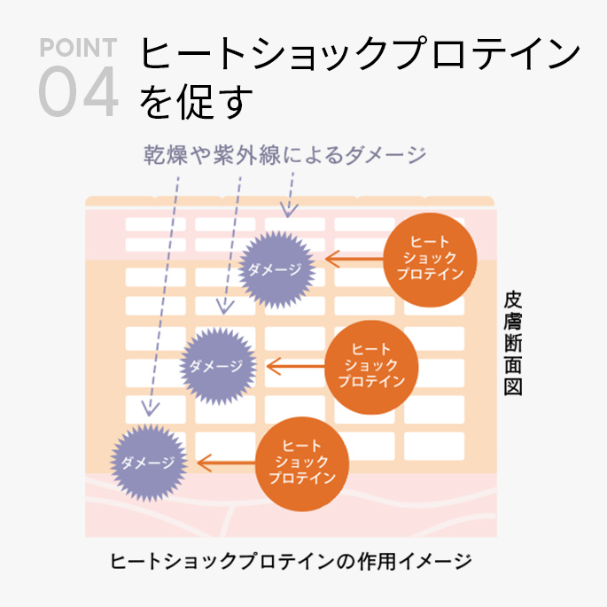 【数量限定】ミネラルベールパウダーラージサイズ13g