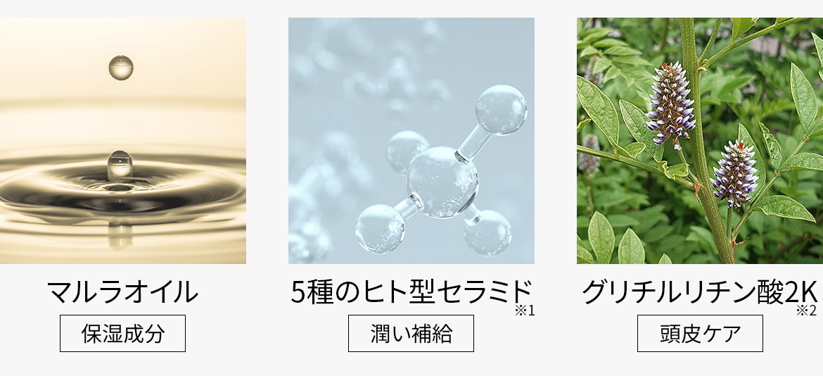 注目成分は、マルラオイル（保湿成分）・5種のヒト型セラミド*1（潤い補給）・グリチルリチン酸2K*2（頭皮ケア）
