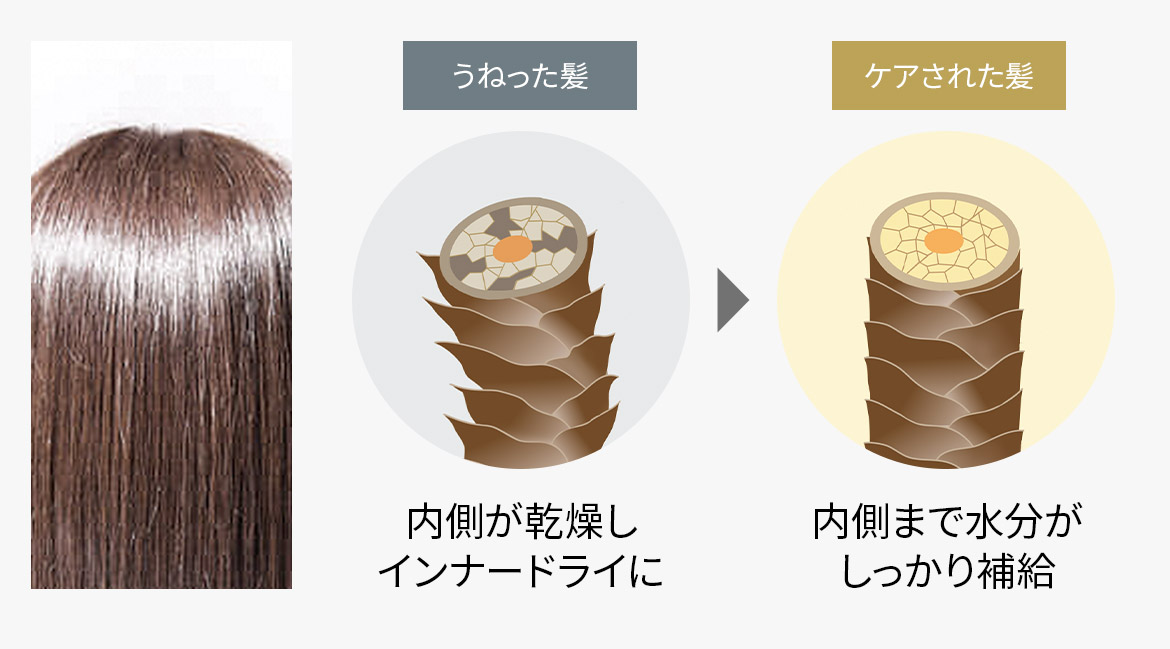 うねった髪は、内側が乾燥しインナードライに。ケアされた髪は内側まで水分がしっかり補給。