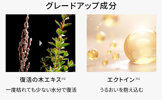グレードアップ成分は、復活の木エキスとエクトイン