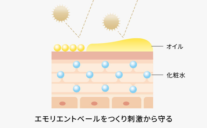 バリア機能イメージ