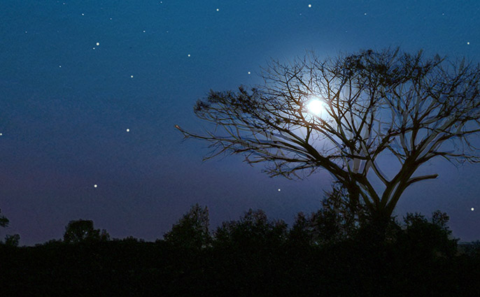 寝ている女性イメージ