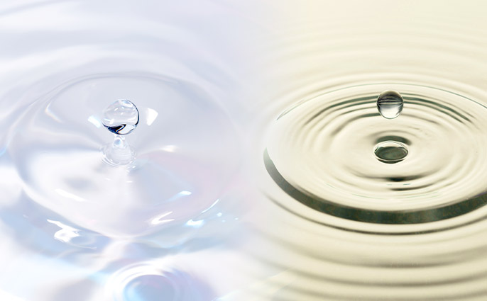 もちっと吸い付く