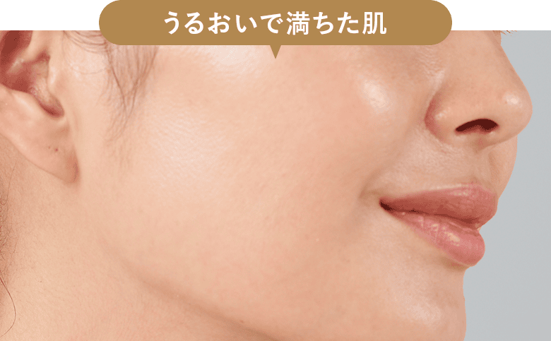 うるおいで満ちた肌