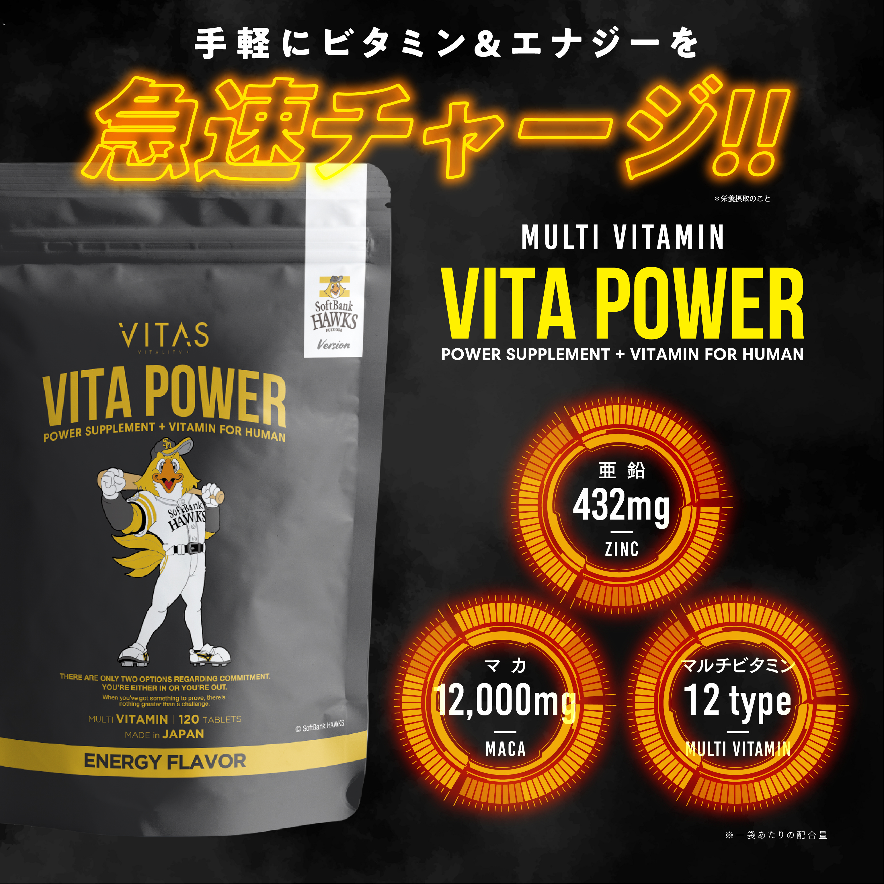 VITA POWER│フィットネスサプリ・プロテインのVITAS