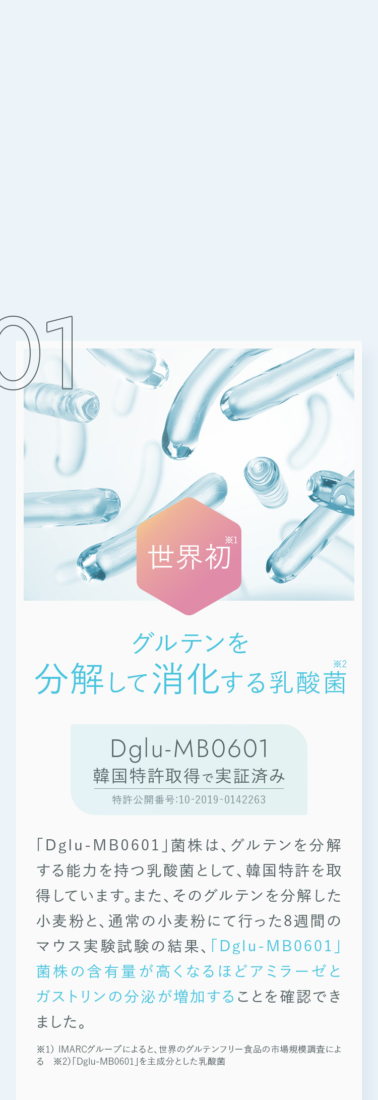 その１、世界初！グルテンを分解して消化する乳酸菌Dglu-MB0601