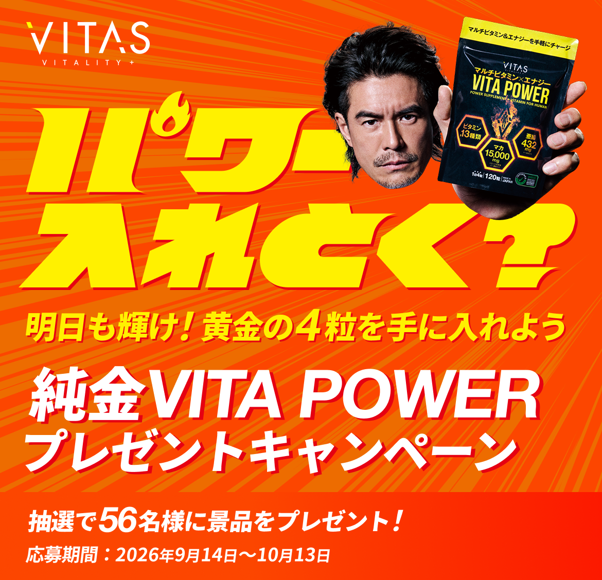 VITA POWER