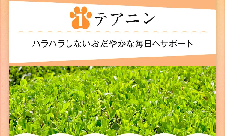 component_02 (1).webp