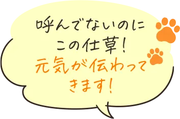 speech_balloon01.webp
