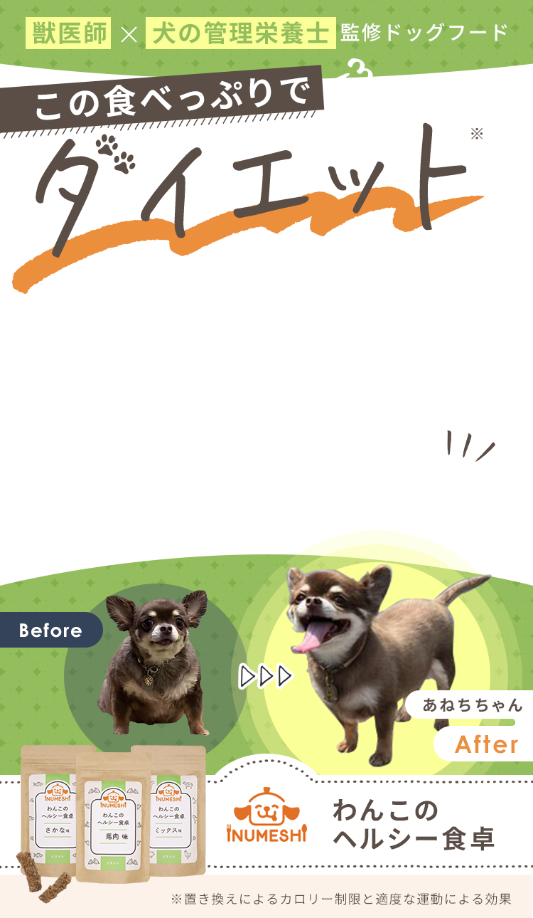 獣医師×犬の管理栄養士 監修ドッグフード