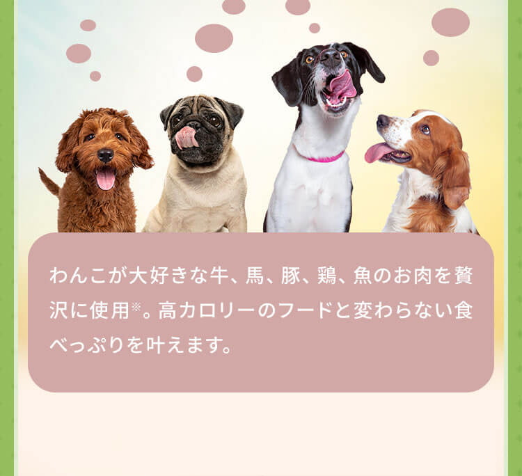 わんこが大好きな牛、馬、豚、鶏、魚のお肉を贅沢に使用※。