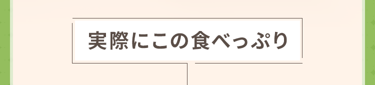 実際にこの食べっぷり