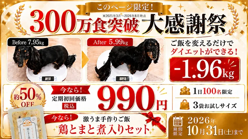 リニューアル大感謝祭