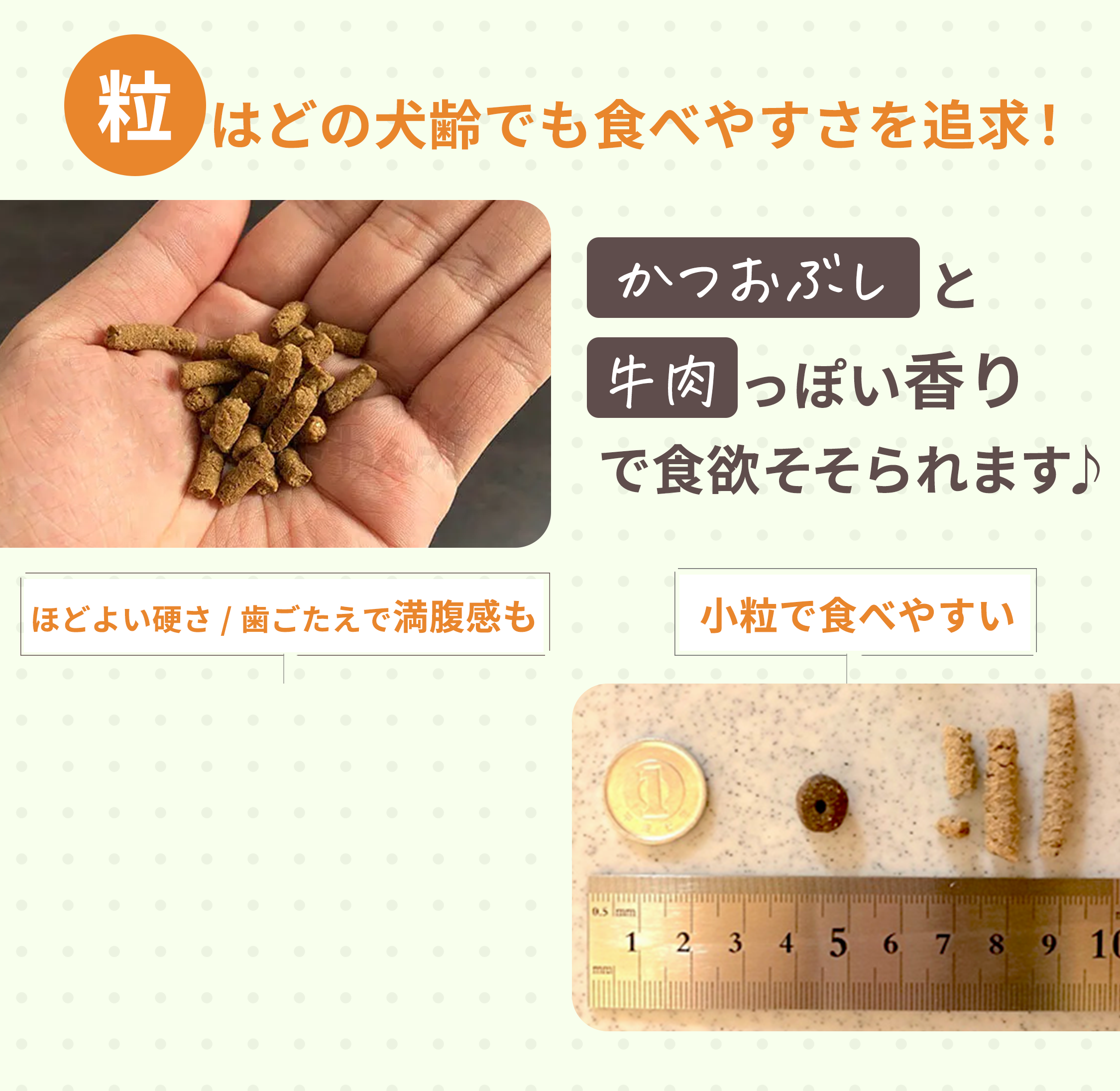 粒はどの犬齢でも食べやすさを追求！