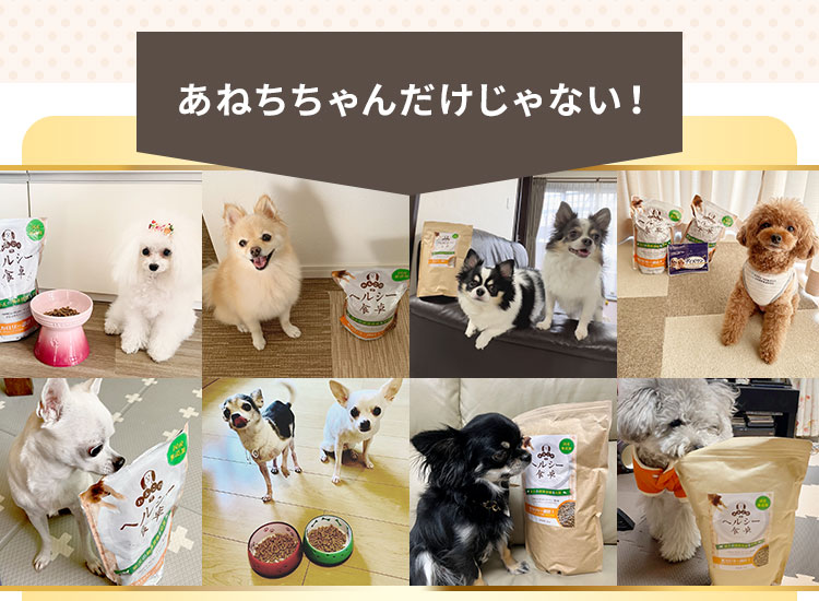 あねちちゃんだけじゃない！