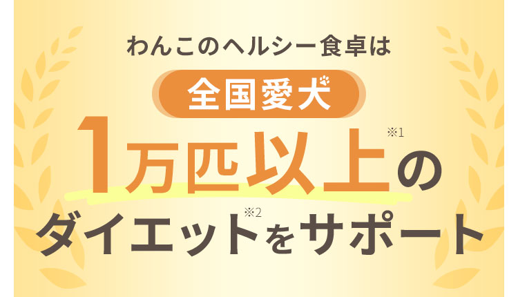1万匹以上のダイエットをサポート