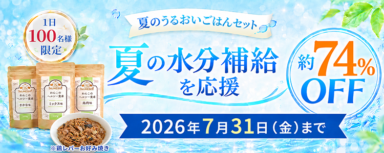 リニューアル大感謝祭