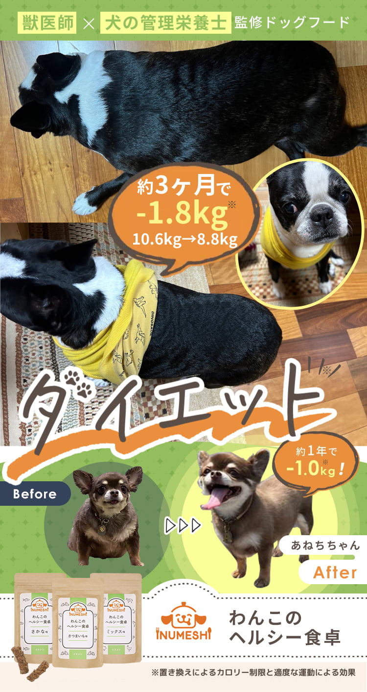 獣医師×犬の管理栄養士 監修ドッグフード