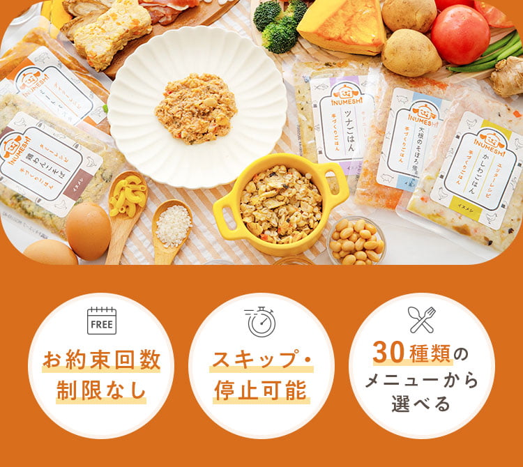 お約束回数制限なし