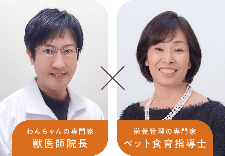 わんちゃんの専門家獣医師院長